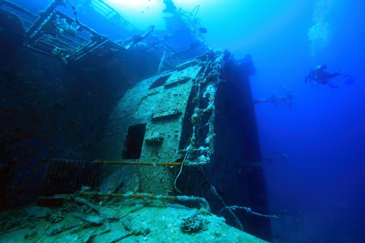 Kuzey Kızıldeniz Liveaboard Dalış Turu - 1